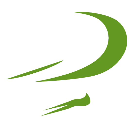 Padel Evo